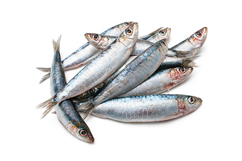 sardines atlantic